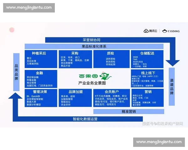 以市场策略驱动的品牌增长与渠道协同创新路径研究实践与方法探索